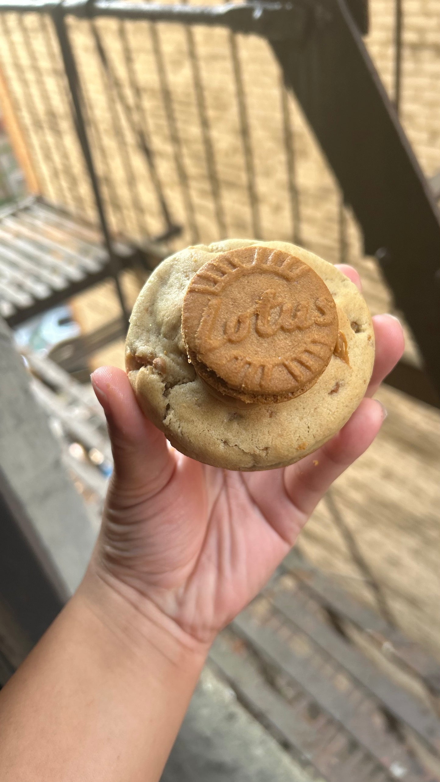 Gourmet Cookies
