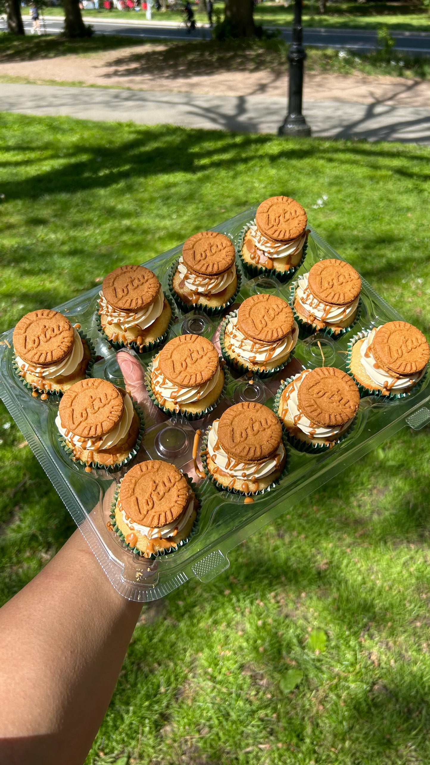 Dessert Style cupcakes